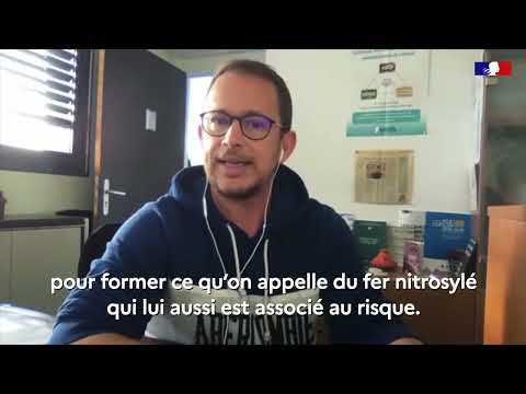 Fabrice PIERRE, lien entre consommation de viande rouge, charcuteries et cancer du côlon