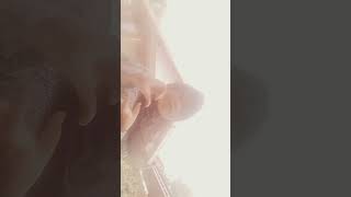 Download lagu 23 Mei 2025 mp3 Download lagu 23 Mei 2025 mp3