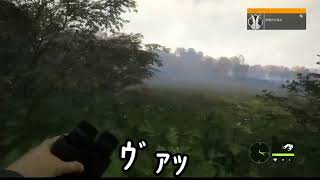 【The hunter COTW】カワイイ野兎ちゃんがいた！ #Shorts #かわいい