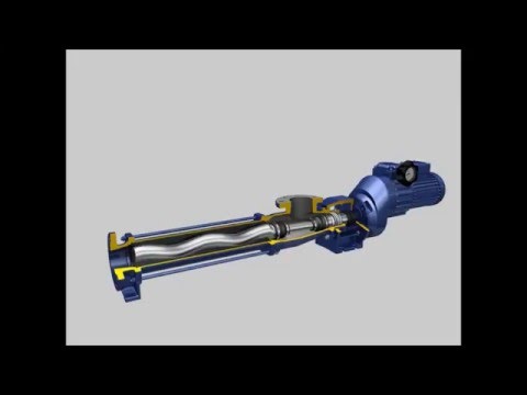 Progressive Cavity Pump
