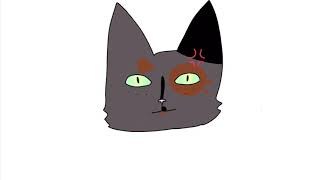 When you get no response from the 7th map call