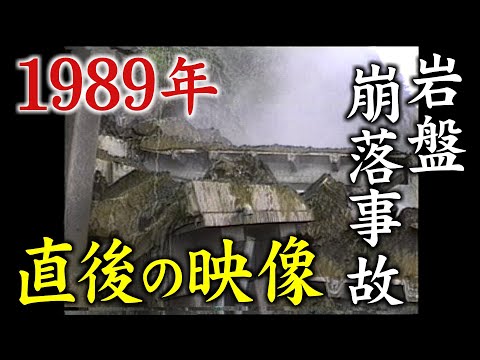 1991 年から 1995 年の間に記載された鳥類のリスト - 定義