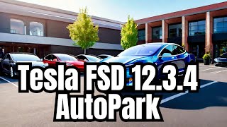 Tesla FSD Autopark - Is it Ready?