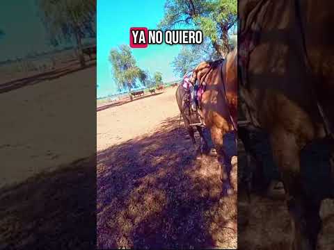 fuerte esperanza chaco argentina vida de campo