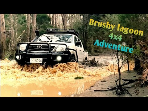 download lagu mp3 mp4 Brushy Lagoon 4wd Track, download lagu Brushy Lagoon 4wd Track gratis, unduh video klip Brushy Lagoon 4wd Track