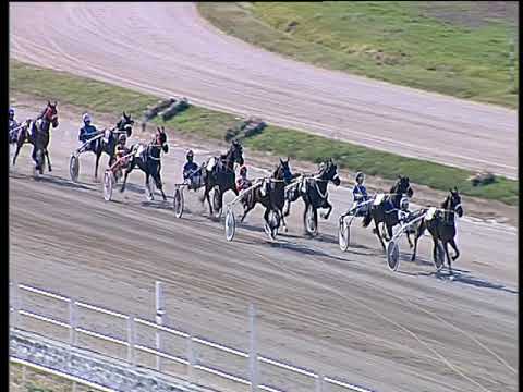 Trotto 19/04/2019 - 5ª corsa