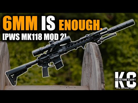 Das EINE Präzisionsgewehr, das Sie brauchen | PWS 6MM ARC