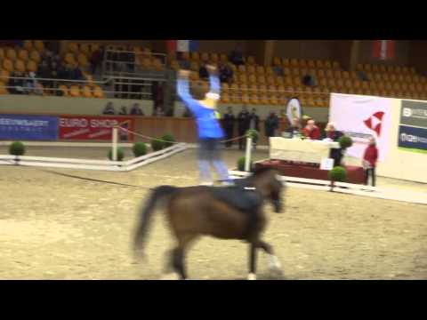 Einzel-Kür VFZ Mainz Ebersheim Ina vom CVI Belgium Moorsele