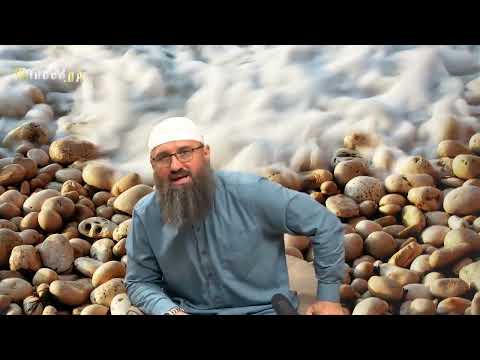 Šta smije pokrivena žena oblačiti pred svojim mahremima? - Elvedin Pezić