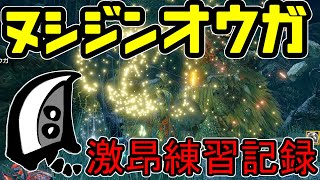 【モンハンライズ】ヌシジンオウガ大剣激昂TA練習記録