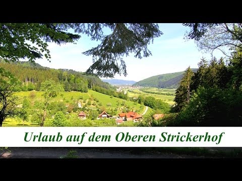 Ferienwohnungen Oberer Strickerhof Urlaub im Schwarzwald