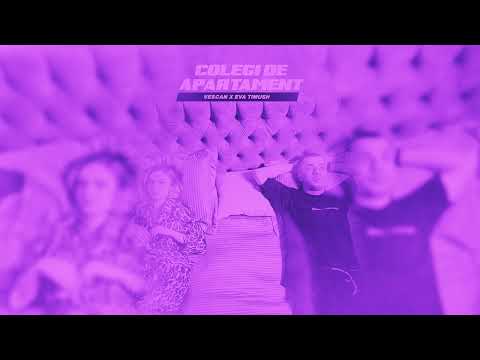 Vescan x Eva Timush - Colegi de apartament  (Speed-up Version) | NIGHTCORE Remix