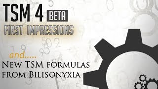 TSM4 Beta: My first impressions and what you need to know