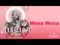 Makhadzi - Woza Woza (Official Audio Visualizer)