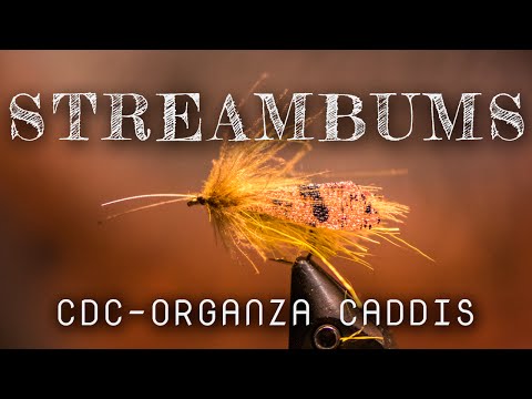 CDC-Organza Caddis