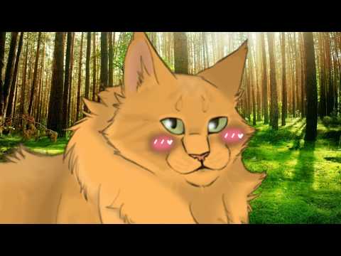 Warrior Cats X Kit Reader Lemon