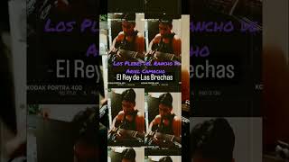 El Rey de Las Brechas- Los Plebes del Rancho de Ariel Camacho (La Suerte ALBUM)