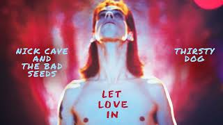 Nick Cave &amp; The Bad Seeds - Thirsty Dog (Official Audio)