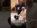Papa Francisco sempre dizia: “todos os animais vão para o céu”