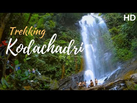 download lagu mp3 mp4 Kodachadri Trek, download mp3 Kodachadri Trek free download, download mp3 Kodachadri Trek