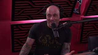 JRE 106 - Leon Edwards