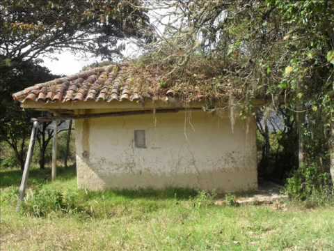 Las Acacias - Garzón y Collazos