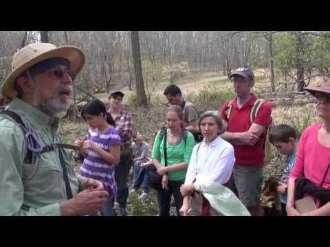 Return to Nature - Foraging with Wildman Steve Brill