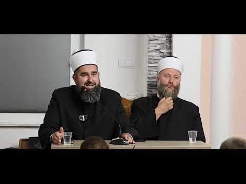 Hfz. Zikret ef. Mustafić - Razlozi neuspjeha muslimana