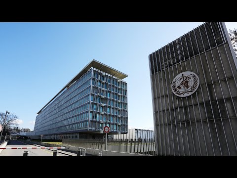 Почему США прекращают финансирование ВОЗ?