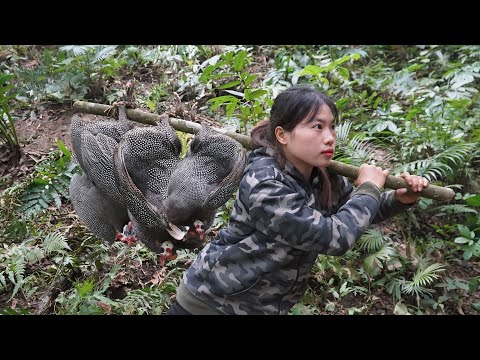 Discovering Guinea Fowl Tracks, Immediately Crafting an Emergency Trap, survival alone