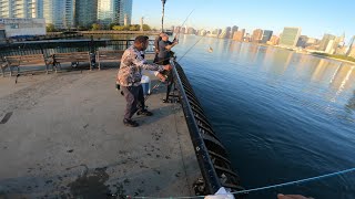 NYC-Long Island City Porgies 10/05/2025