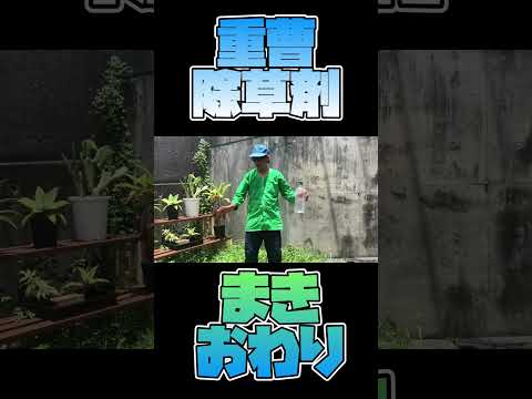 春になったら除草剤を撒いたほうがいいでしょうか?すべきこととしてはいけないこと  庭園