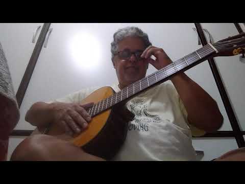 Waly Salomão video