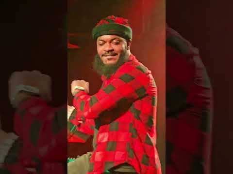 MARIO CHEEF Live in concert