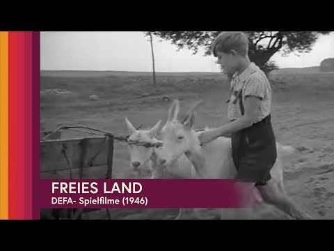 Freies Land - Spielfilm (ganzer Film auf Deutsch) - DEFA