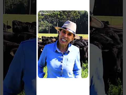 FAZENDA VIOLAS - TEIXEIRA SOARES/PR