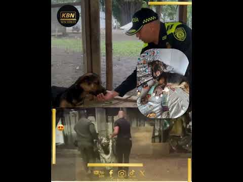 🐾🚨Héroes de corazón: Policías salvan a perrito abandonado en Yotoco
