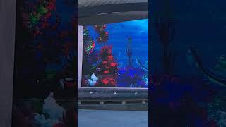 3D Manta Ray at the Port in Nassau. #nassau #nassaubahamas #cruise #mantaray #cruiseport