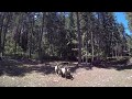 Quick Whistle