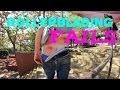 skate fails --- 
