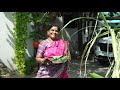 Pongal Celebration 2025 Ft Mrrockyy