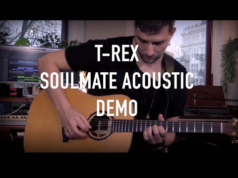 T-Rex Soulmate AC - All-in-one Acoustic Pedalboard image 7