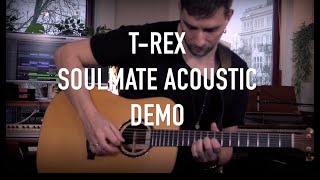 Video thumbnail for SoulMate Acoustic demo - by Kasper Falkenberg by T-Rex Effects