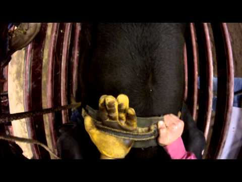 Bull rider Kirt Engelhart drop into the chute on Million Dollar Man from Painted Pony