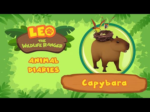 Witness21 Editor  2021 09 11