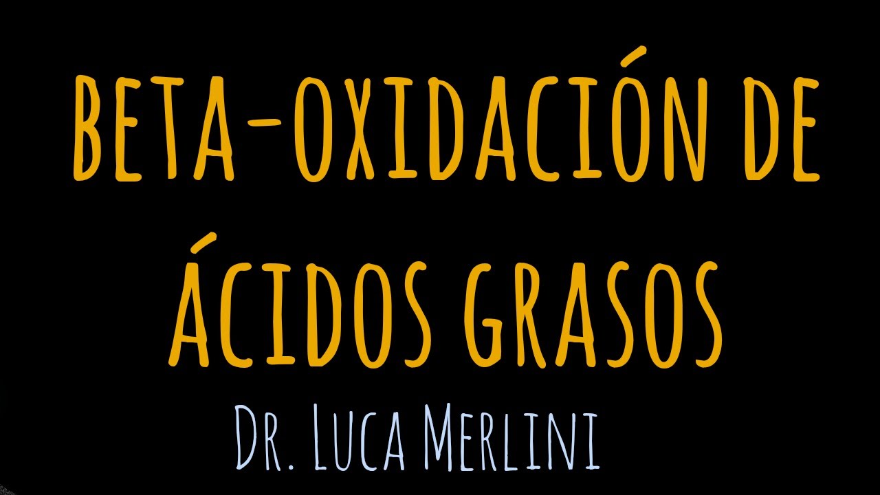 Beta Oxidación de Ácidos Grasos