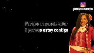 KARAOKE Hola Soledad (En Vivo) - Andrés Cepeda