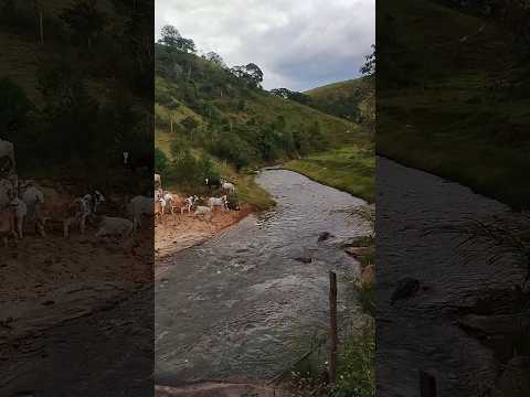 12/06/26, Prainha, Mercês, MG.#minasgerais #turismo #viagem #merces