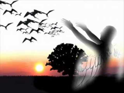 разпилени мечти