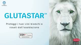 Glutastar™: Preserva freschezza, colore e aromi nella vinificazione